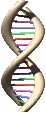 Animated_DNA